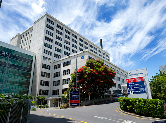 auckland city feature